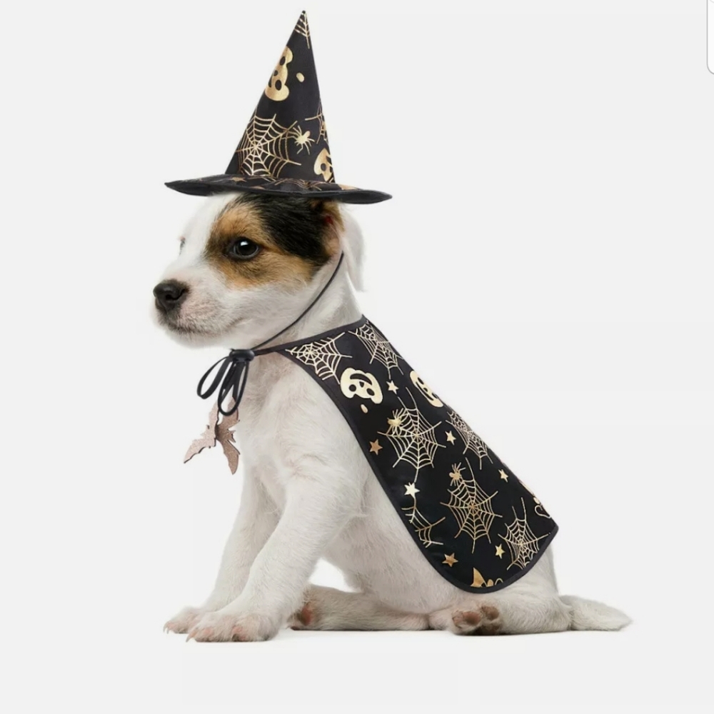 Pet's witch costume, sz M